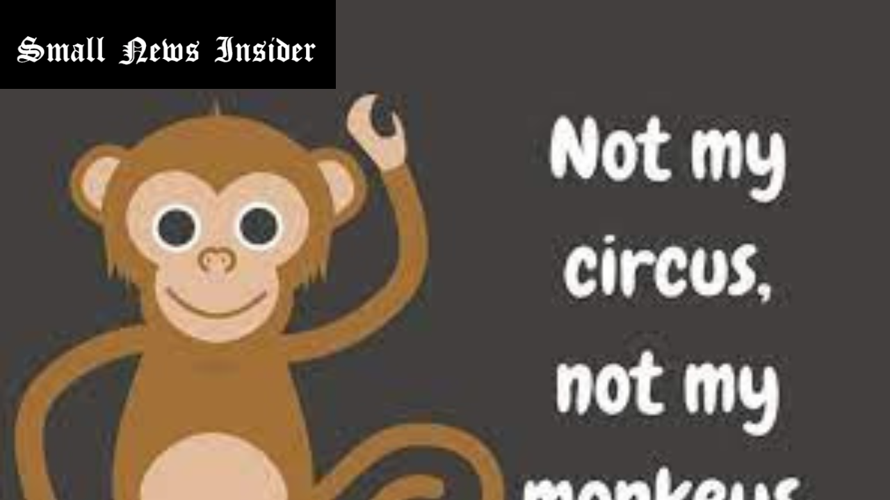 not my circus not my monkeys